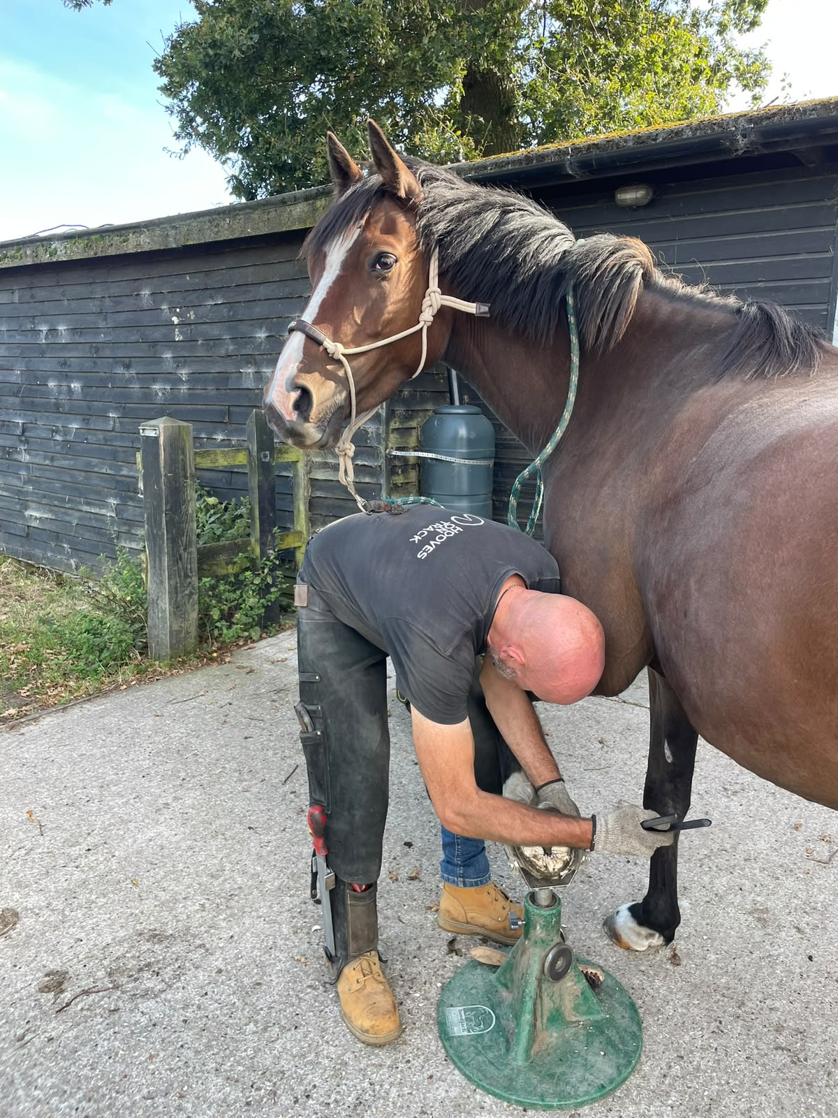 Tony McNamara trimming a hoof